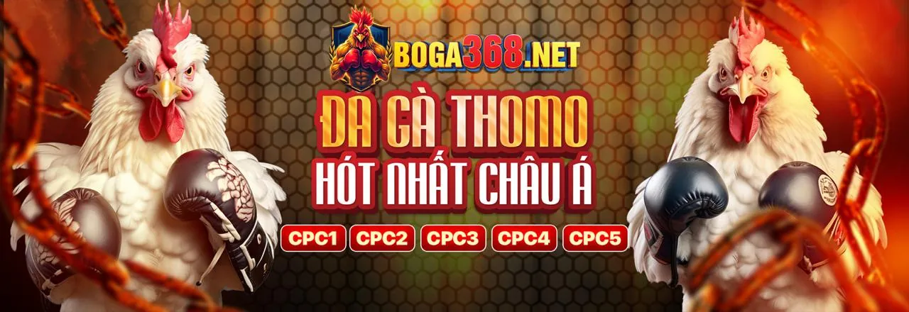 Chương trình đối tác Mocbai 2026