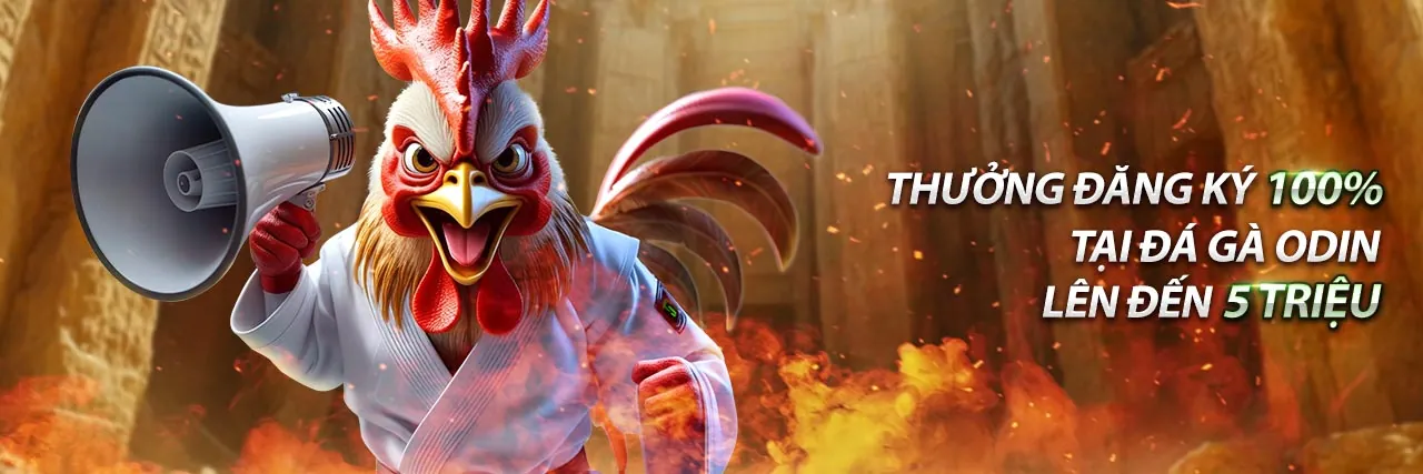 Tổng quan chương trình đối tác Mocbai