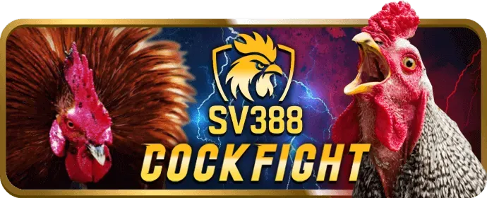 Chương trình VIP và đặc quyền 98win1