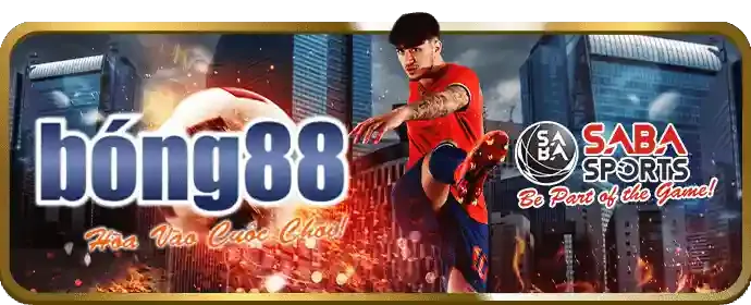 Đội ngũ chuyên gia 98win1
