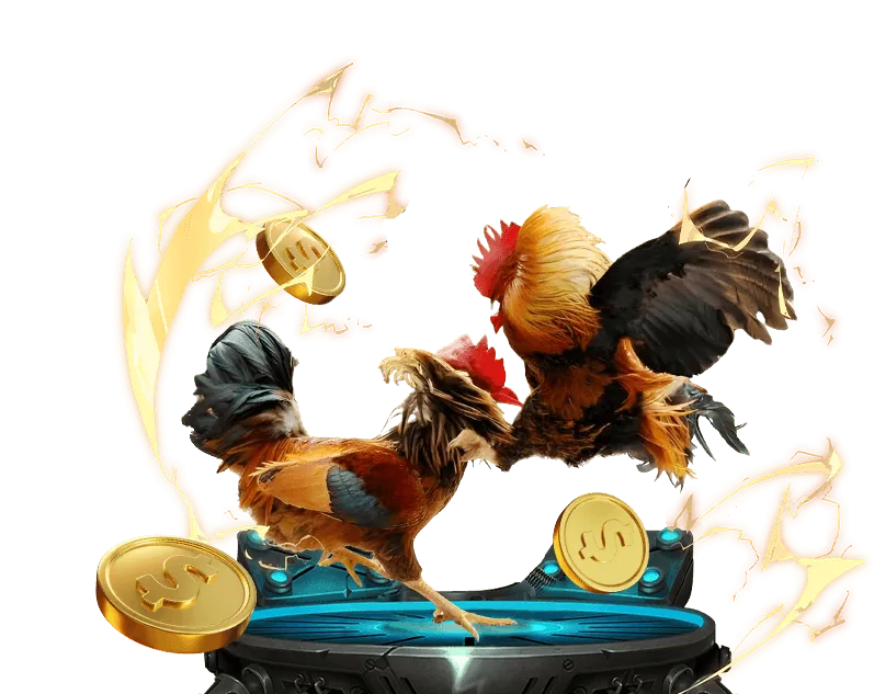 Chương trình VIP độc quyền với nhiều đặc quyền hấp dẫn tại mocbai